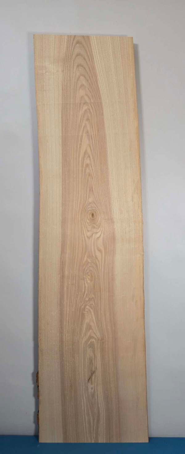 Contrasting Ash wood
