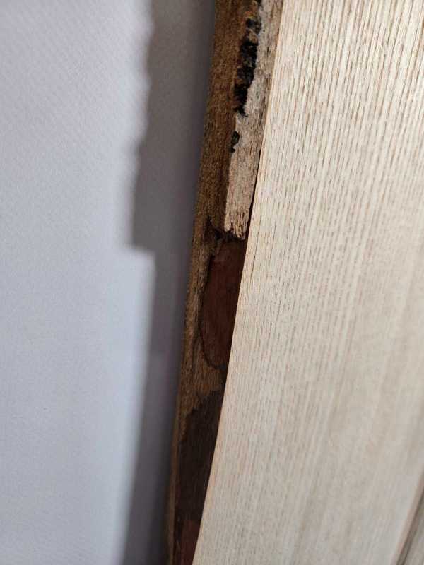 Natural Edge Ash Offcut
