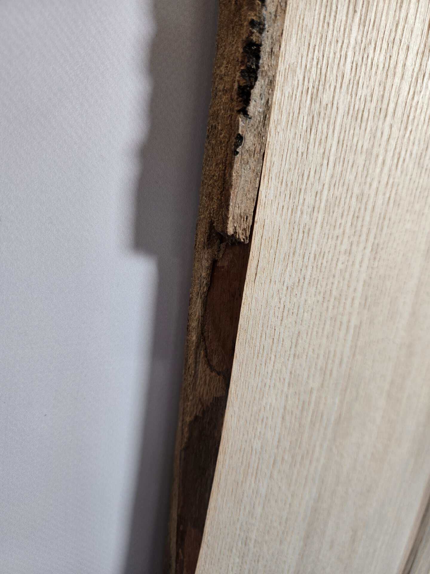 Natural Edge Ash Offcut - Image 3