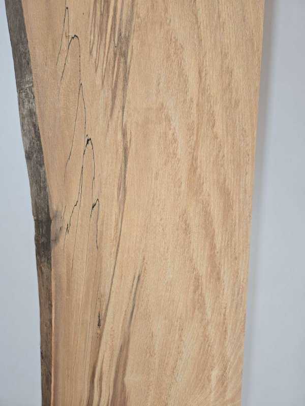 1 Natural edge Beech