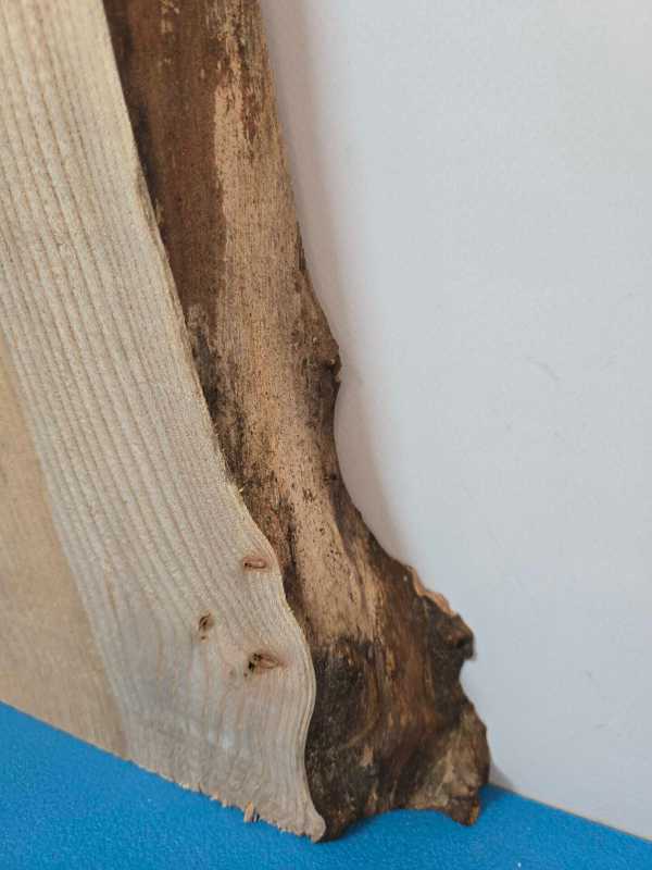 Burr edge Elm Offcuts
