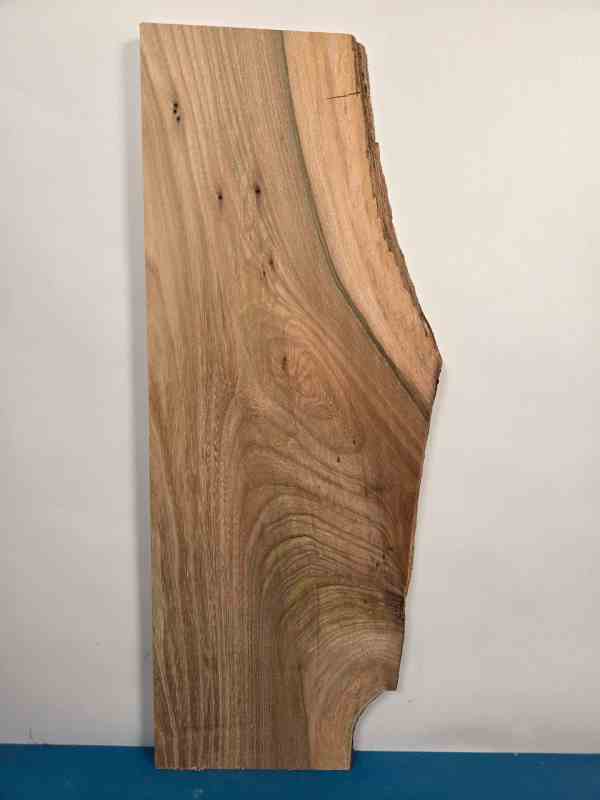 Rustic Elm Offcut
