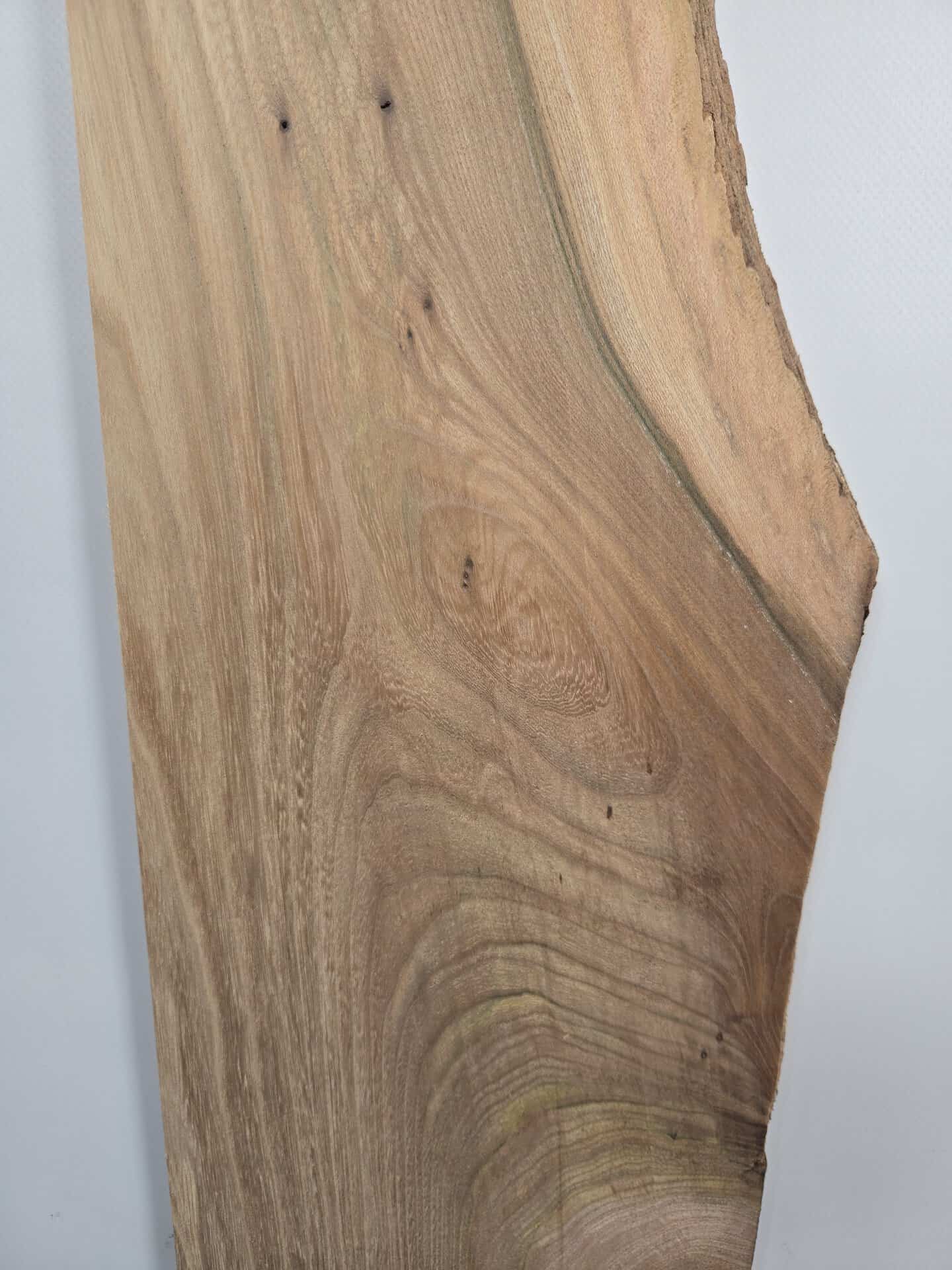 Rustic Elm Offcut - Image 3