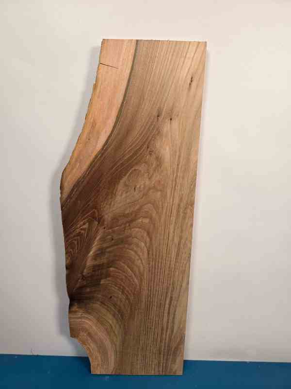 Rustic Elm Offcut