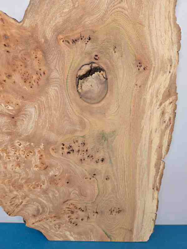 Natural edge Elm Burr