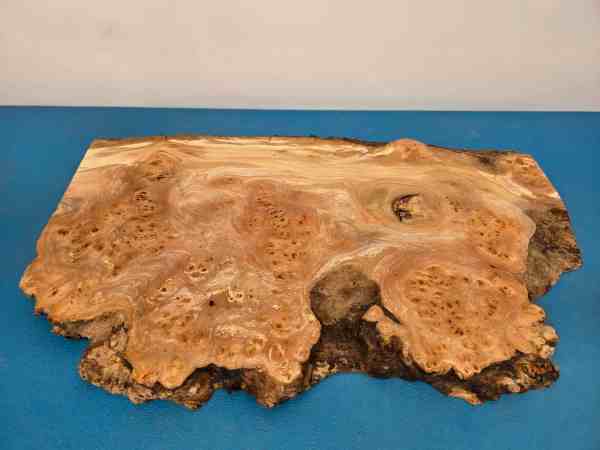 Natural edge Elm Burr