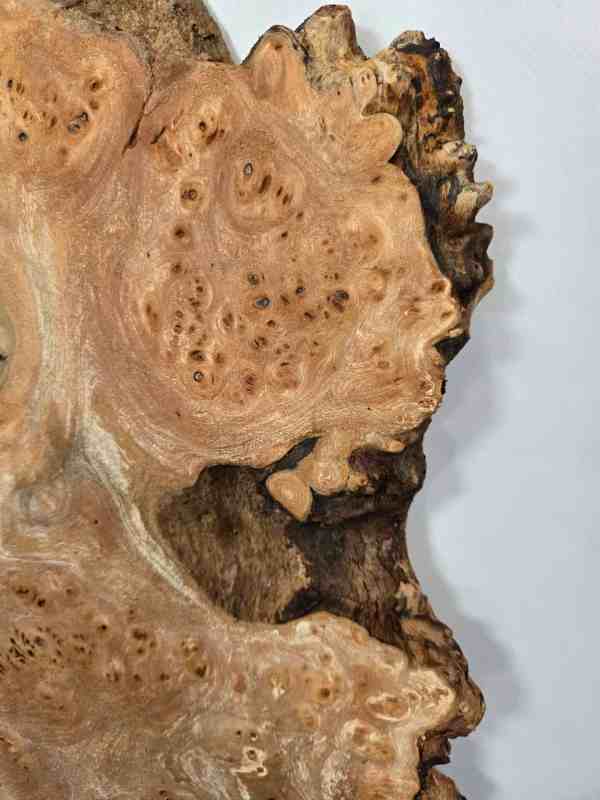 Natural edge Elm Burr