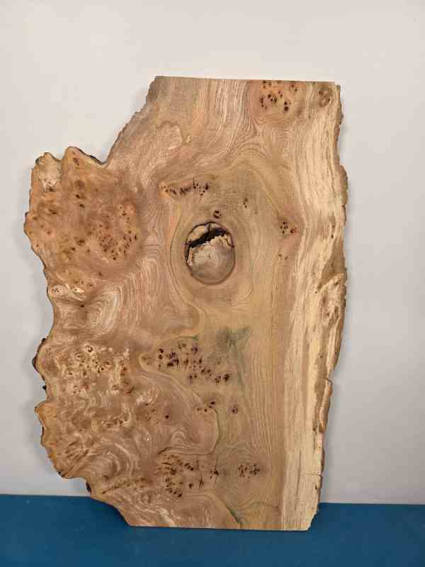 Natural edge Elm Burr