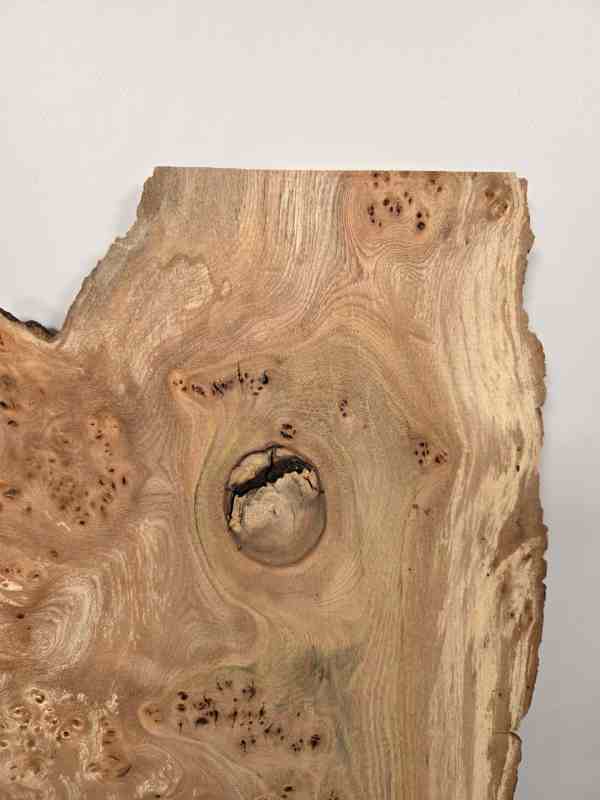 Natural edge Elm Burr