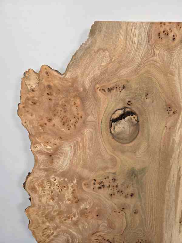 Natural edge Elm Burr