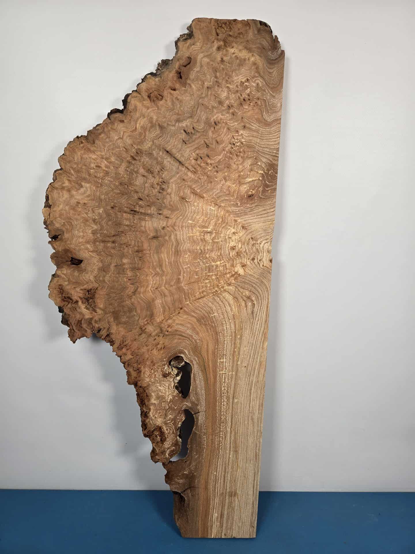 Rustic Burr Elm slice