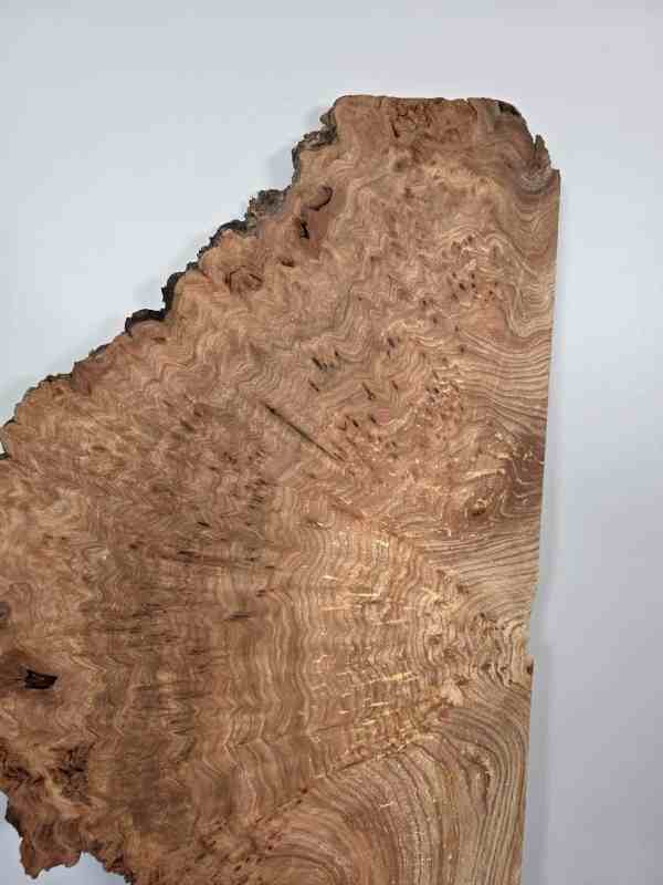 Rustic Burr Elm slice