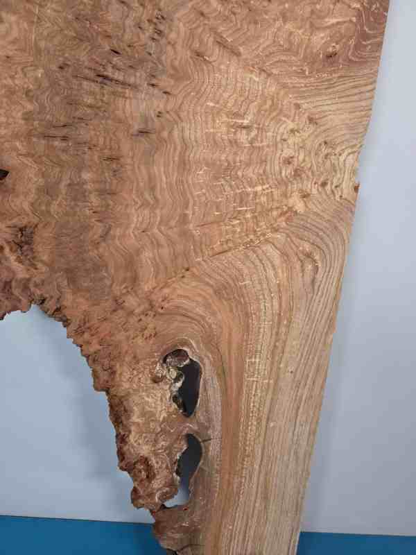 Rustic Burr Elm slice