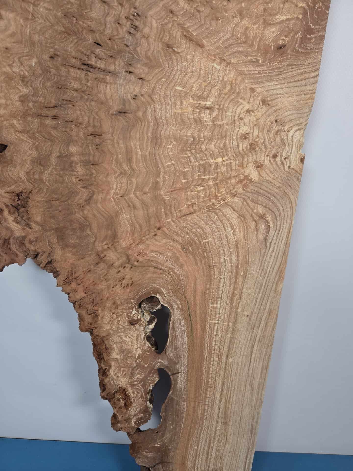 Rustic Burr Elm slice - Image 4