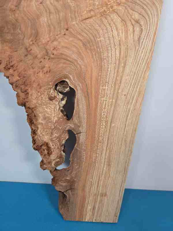 Rustic Burr Elm slice