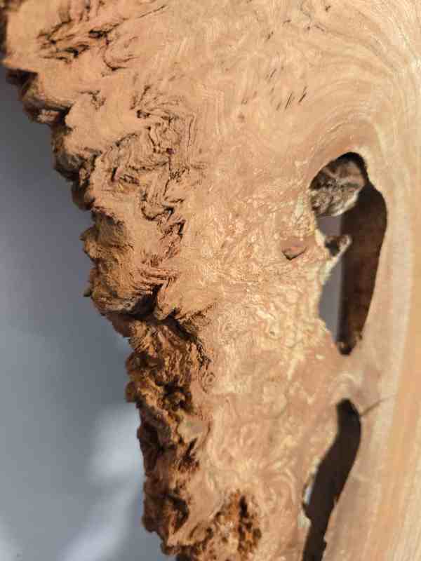 Rustic Burr Elm slice