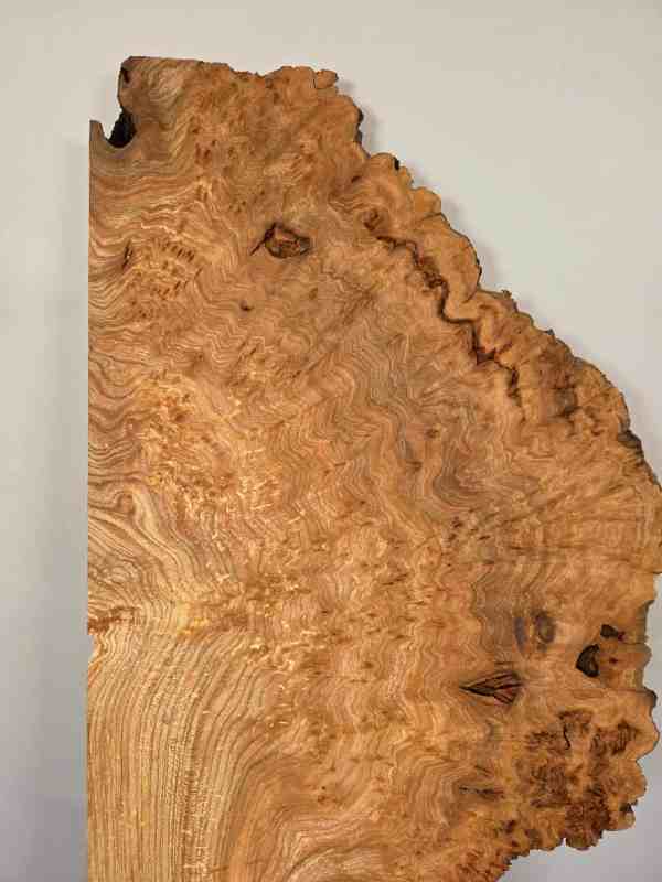 Rustic Burr Elm slice