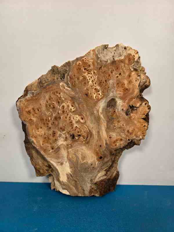 Small Rustic Elm Burr