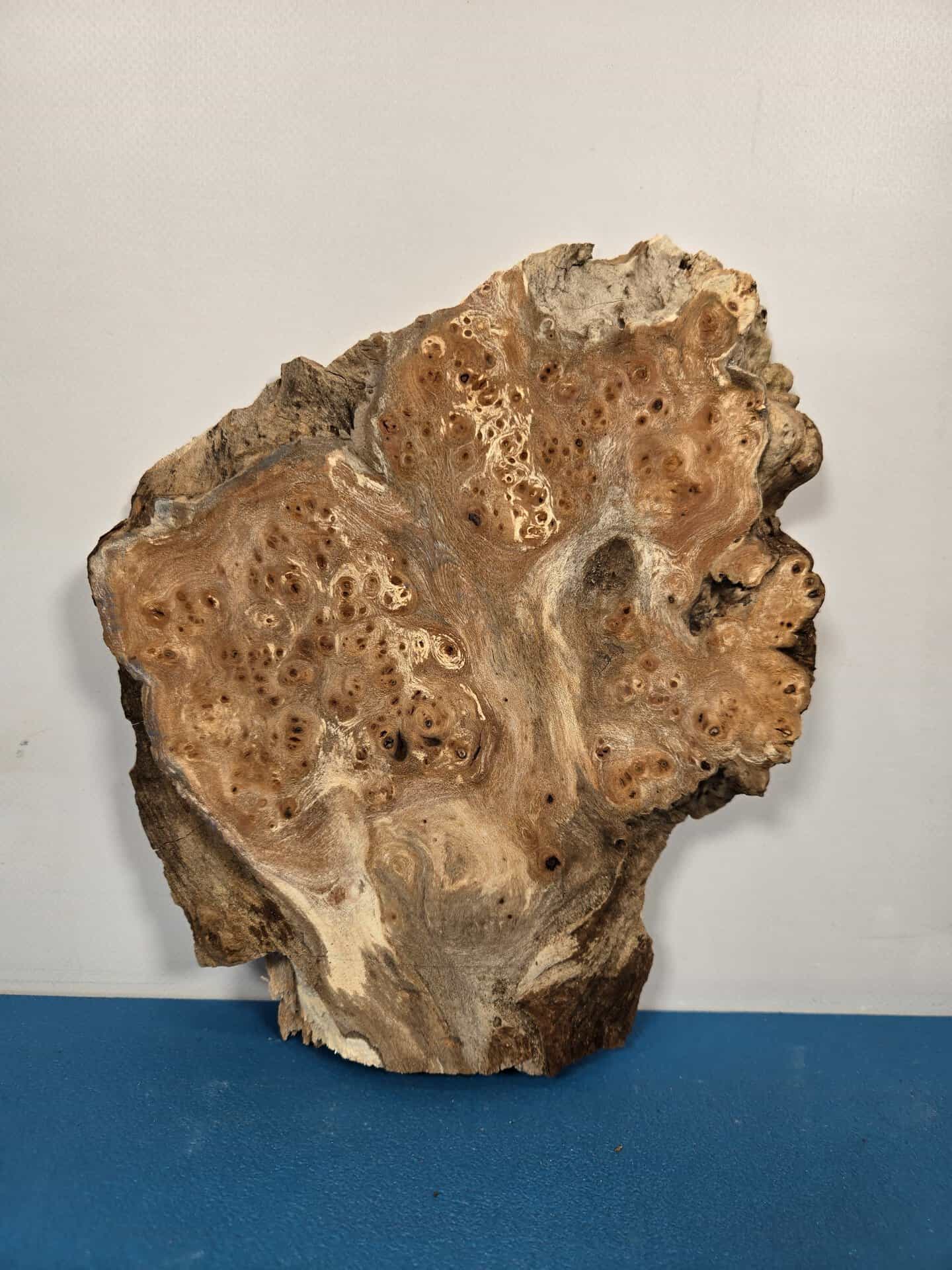 Small Rustic Elm Burr