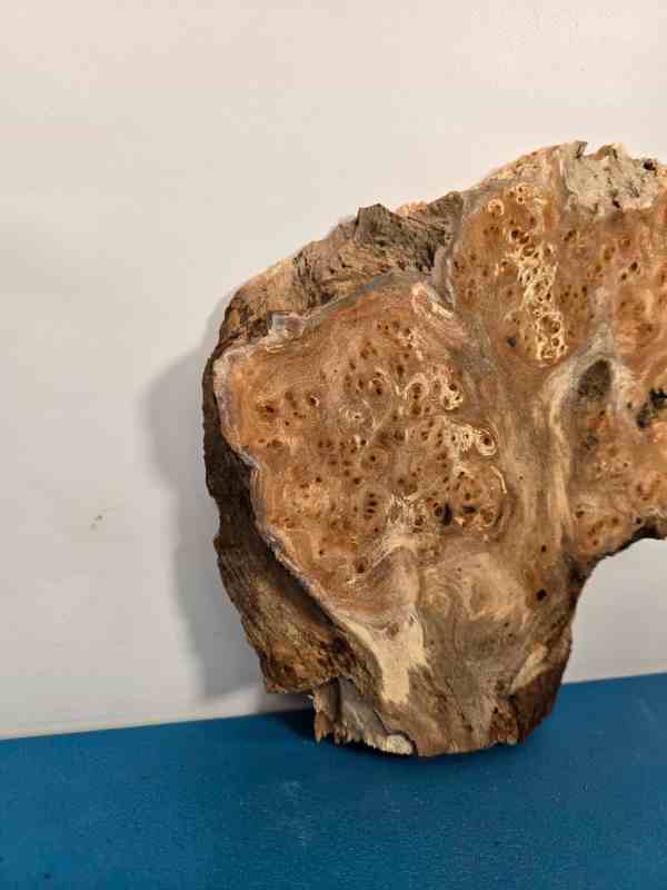 Small Rustic Elm Burr