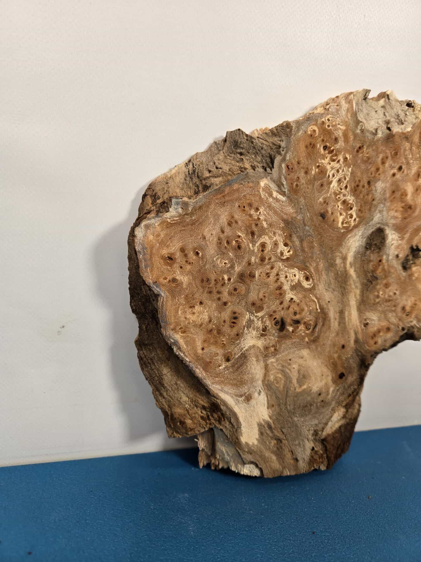 Small Rustic Elm Burr - Image 2
