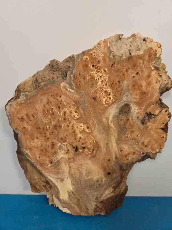 Small Rustic Elm Burr