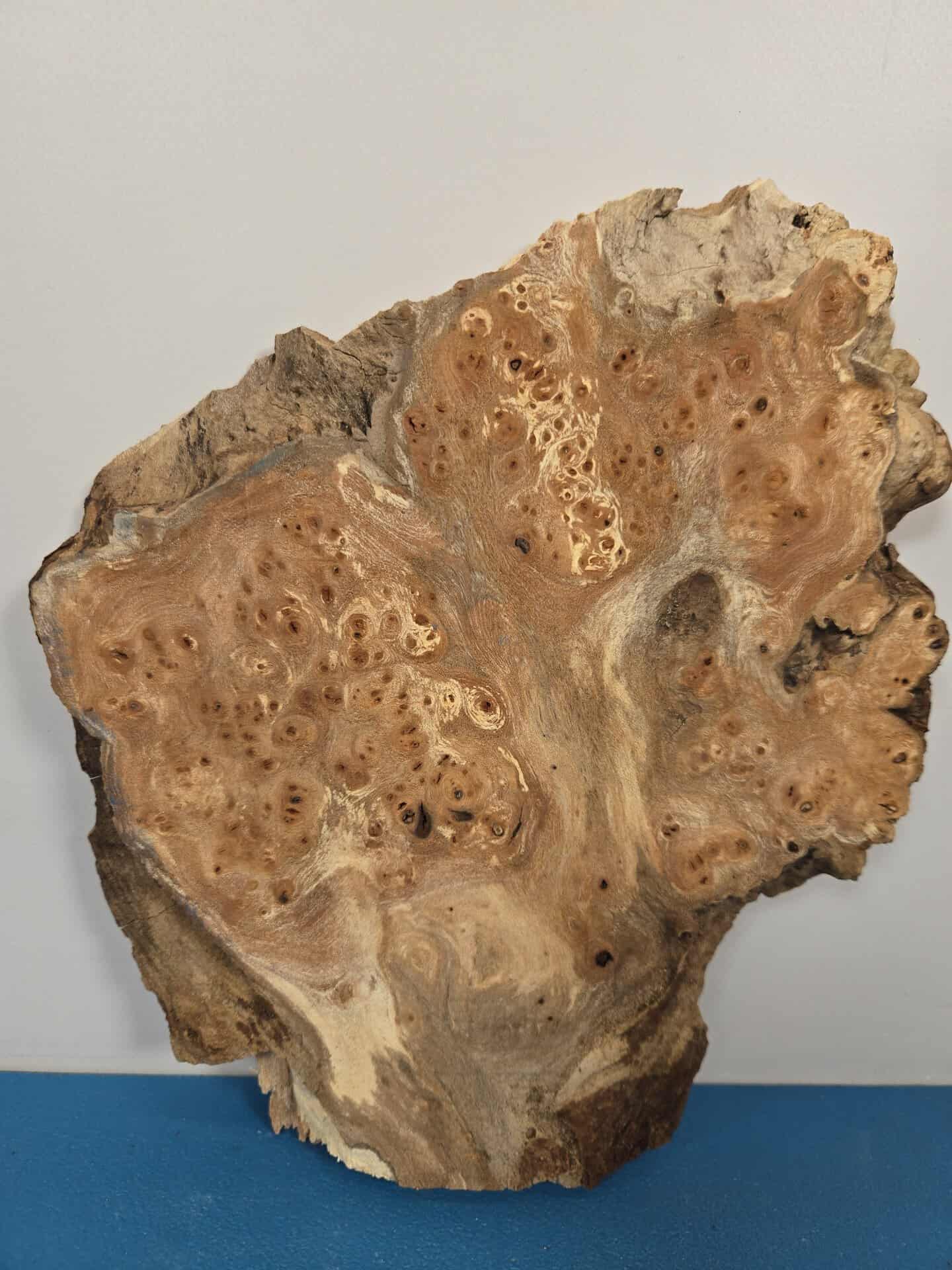 Small Rustic Elm Burr - Image 3