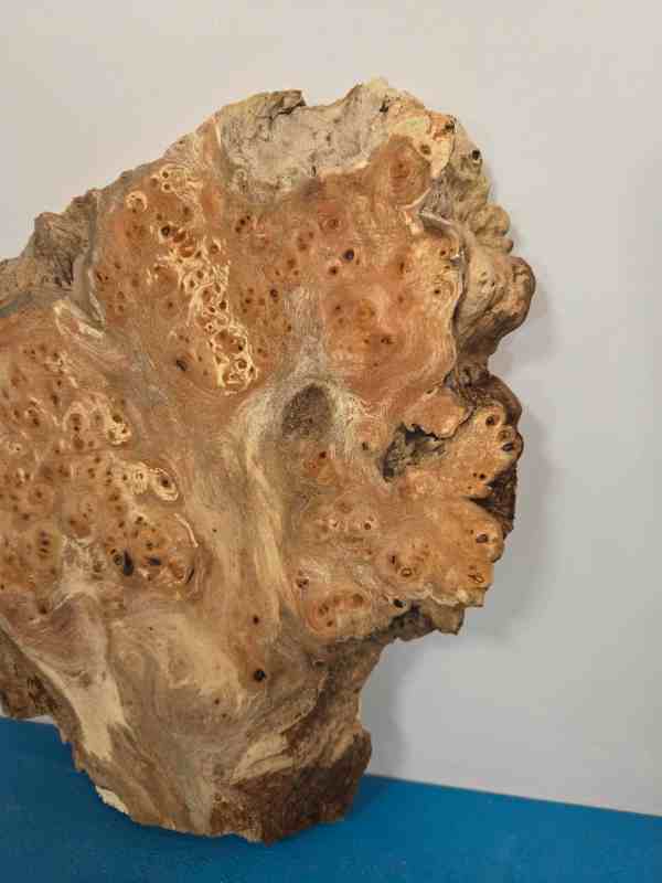 Small Rustic Elm Burr