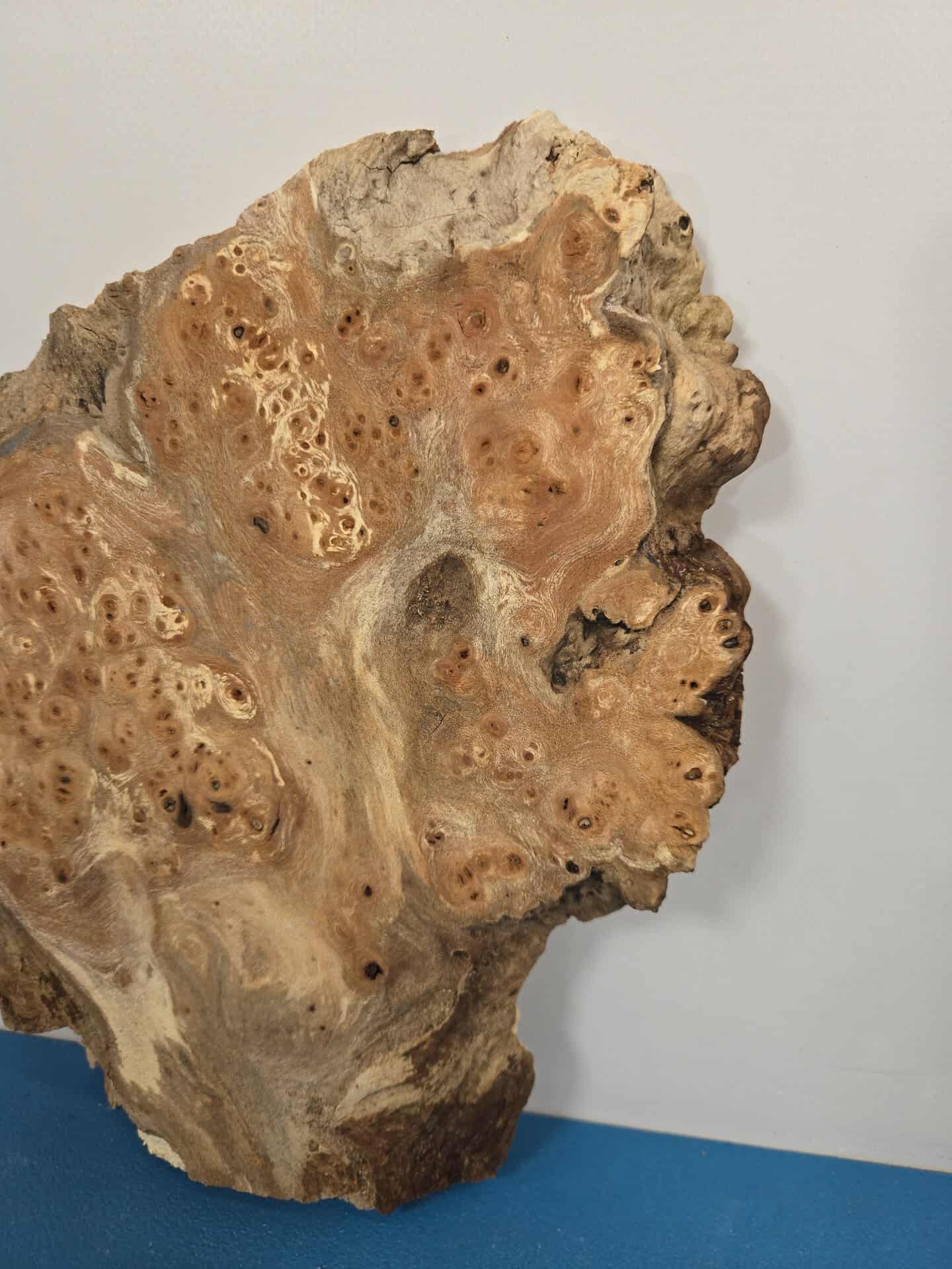 Small Rustic Elm Burr - Image 4