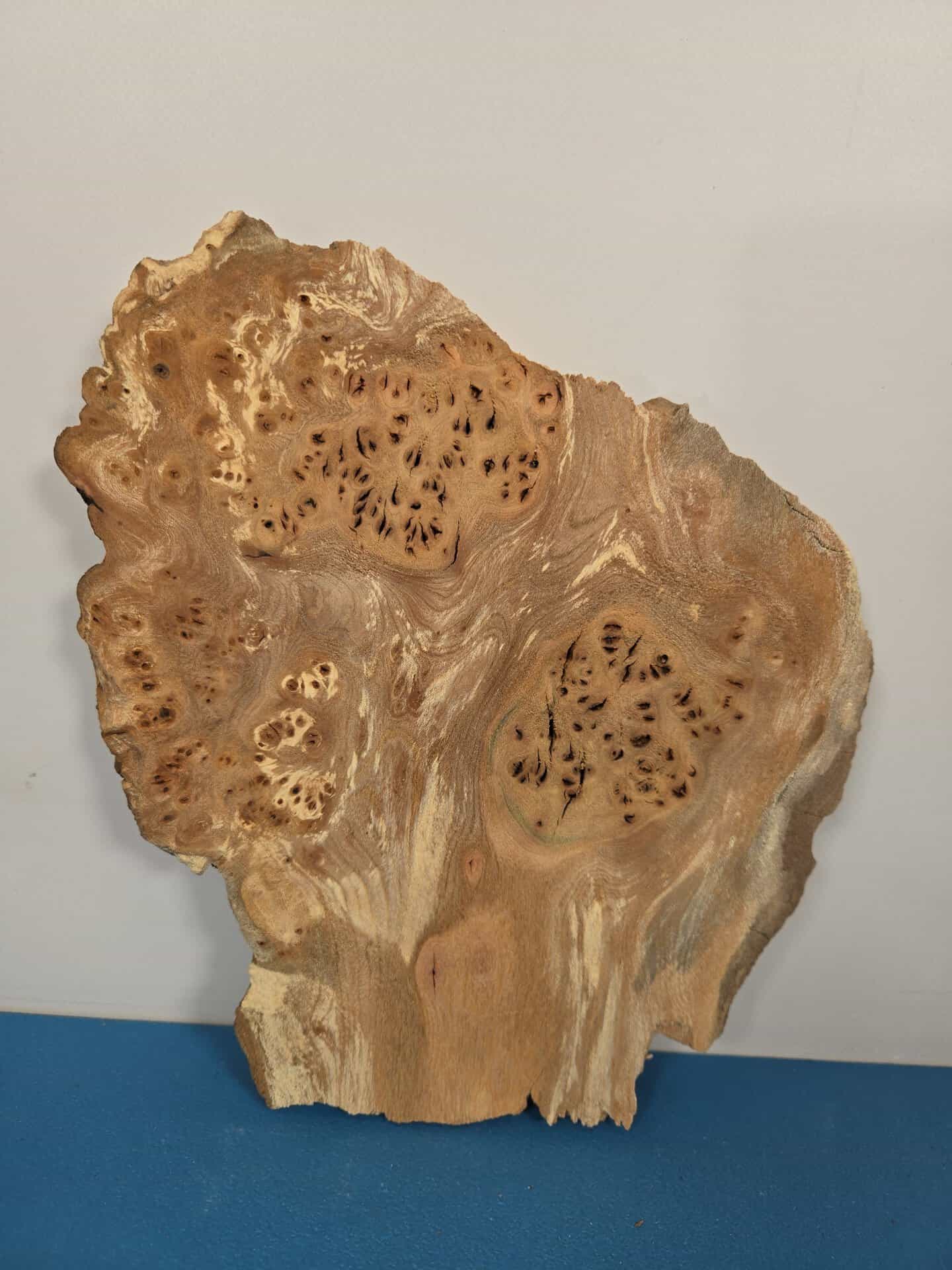 Small Rustic Elm Burr - Image 5
