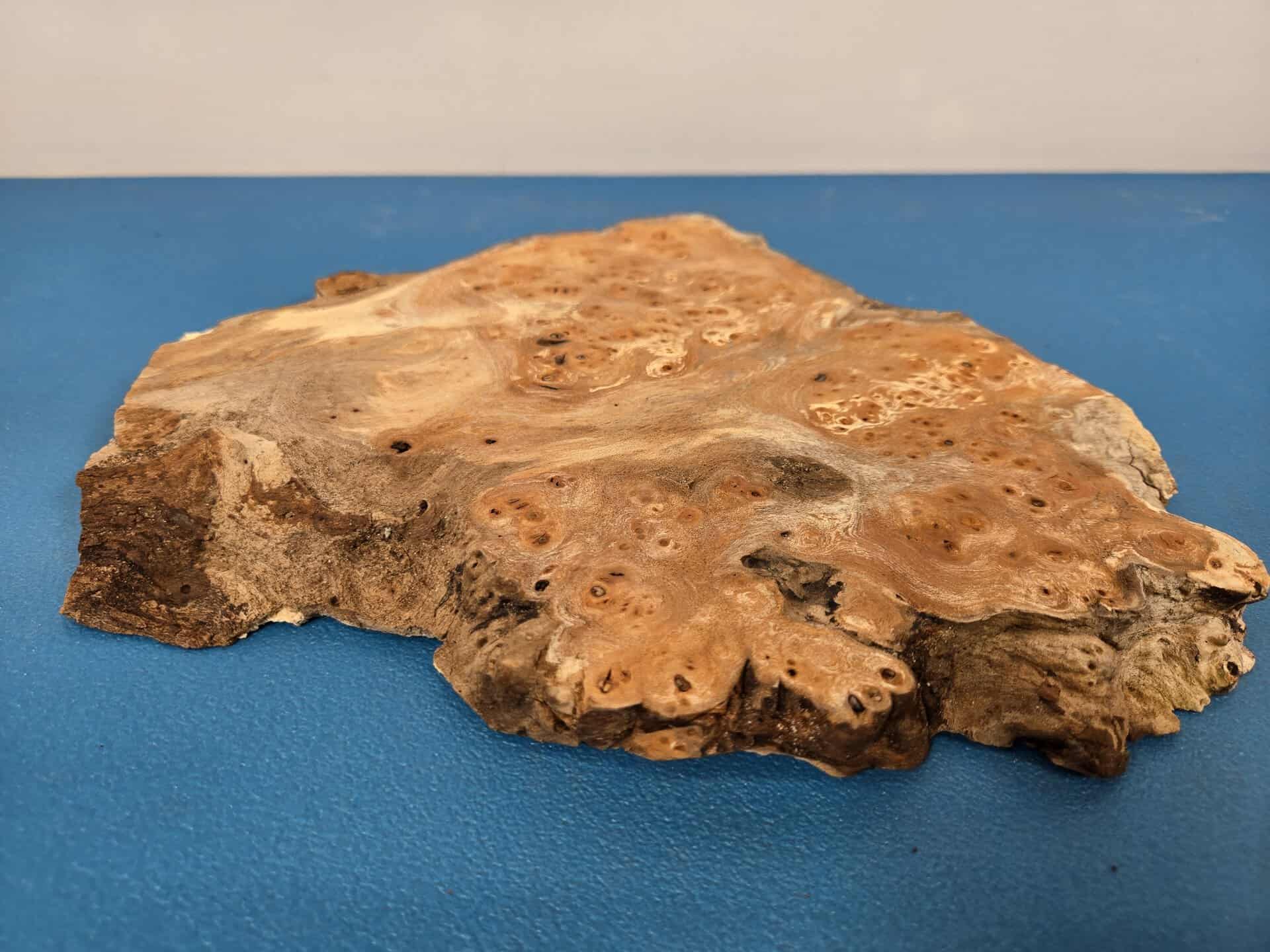 Small Rustic Elm Burr - Image 6