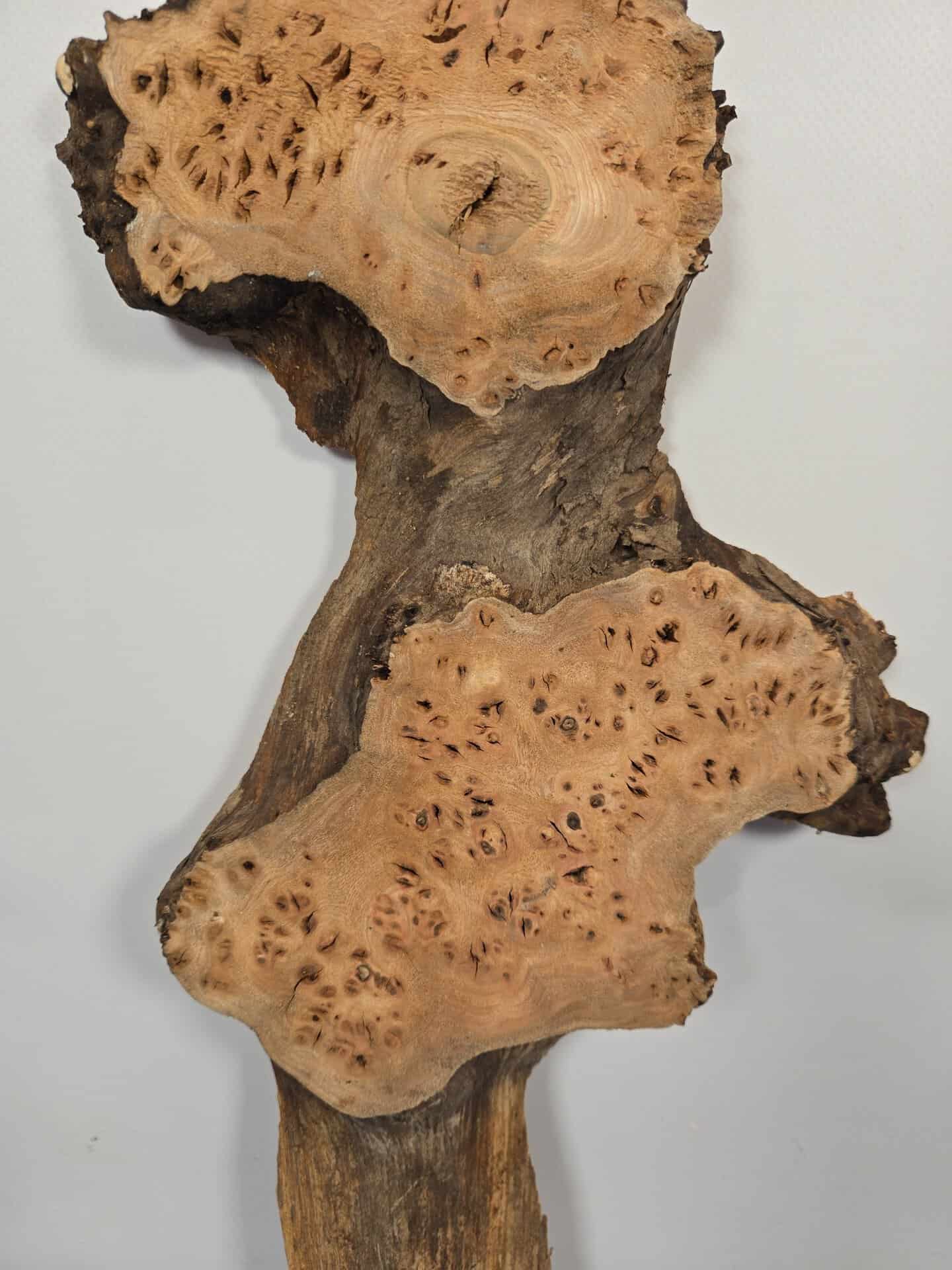 Characterful Elm Burr Offcut - Image 3