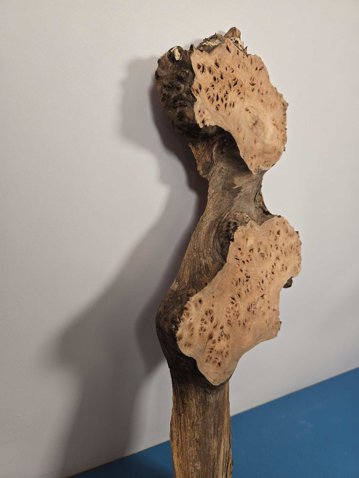 Characterful Elm Burr Offcut - Image 5