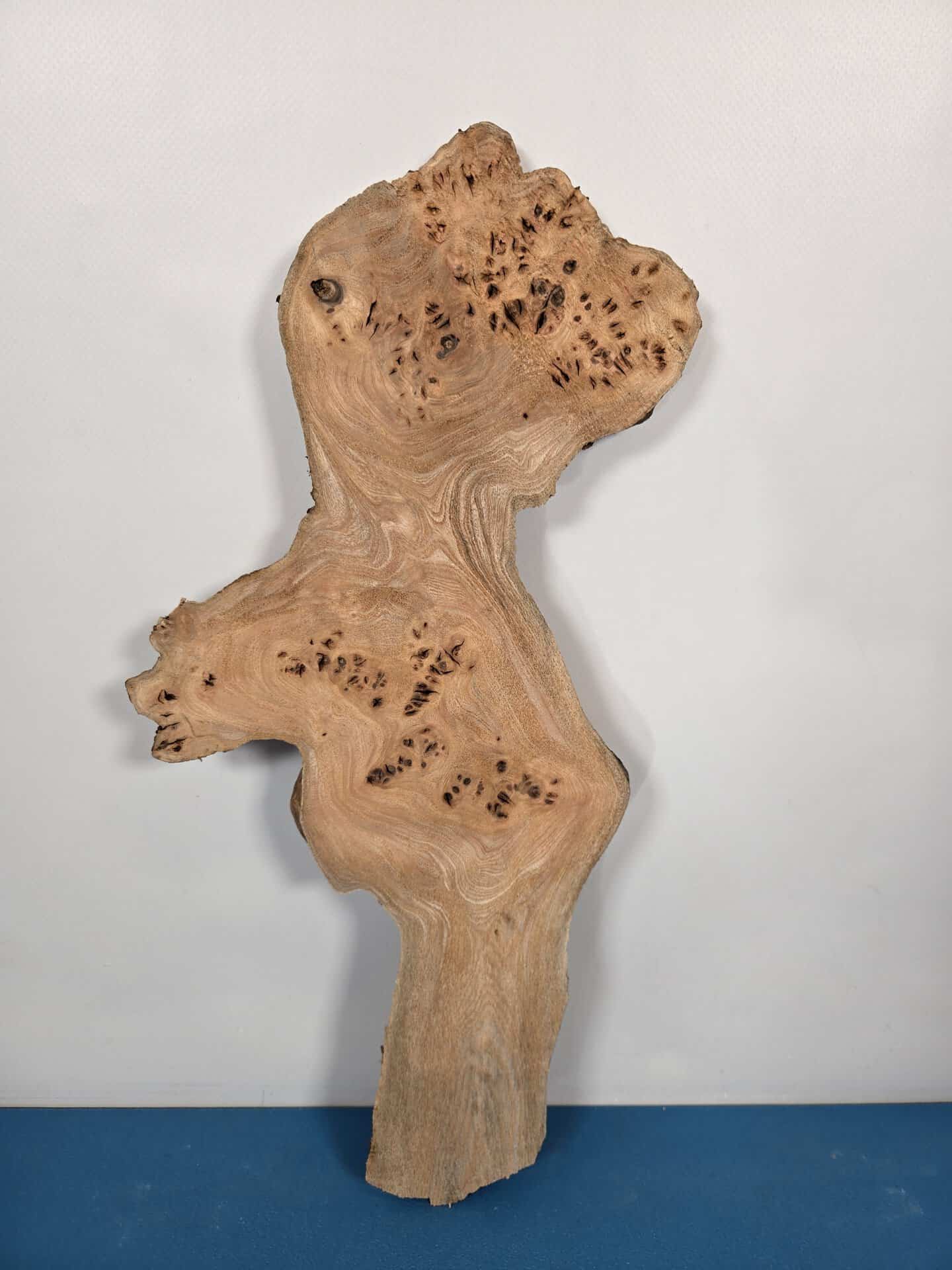 Characterful Elm Burr Offcut - Image 6