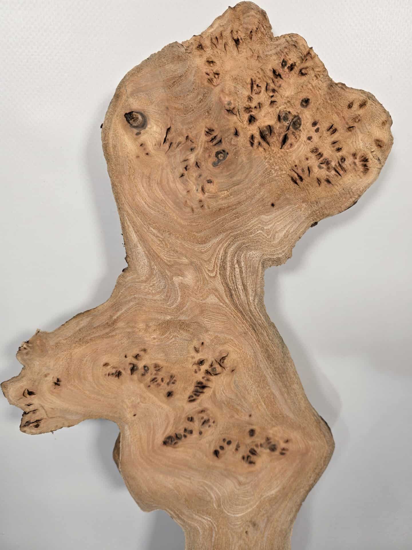 Characterful Elm Burr Offcut - Image 7