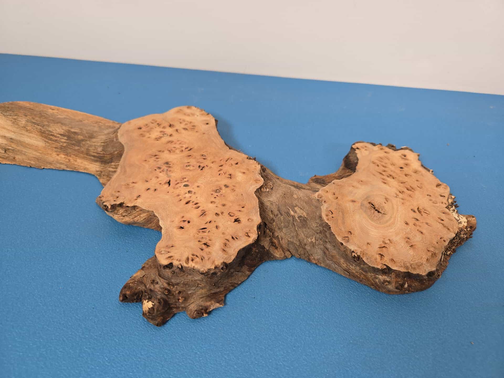Characterful Elm Burr Offcut - Image 8