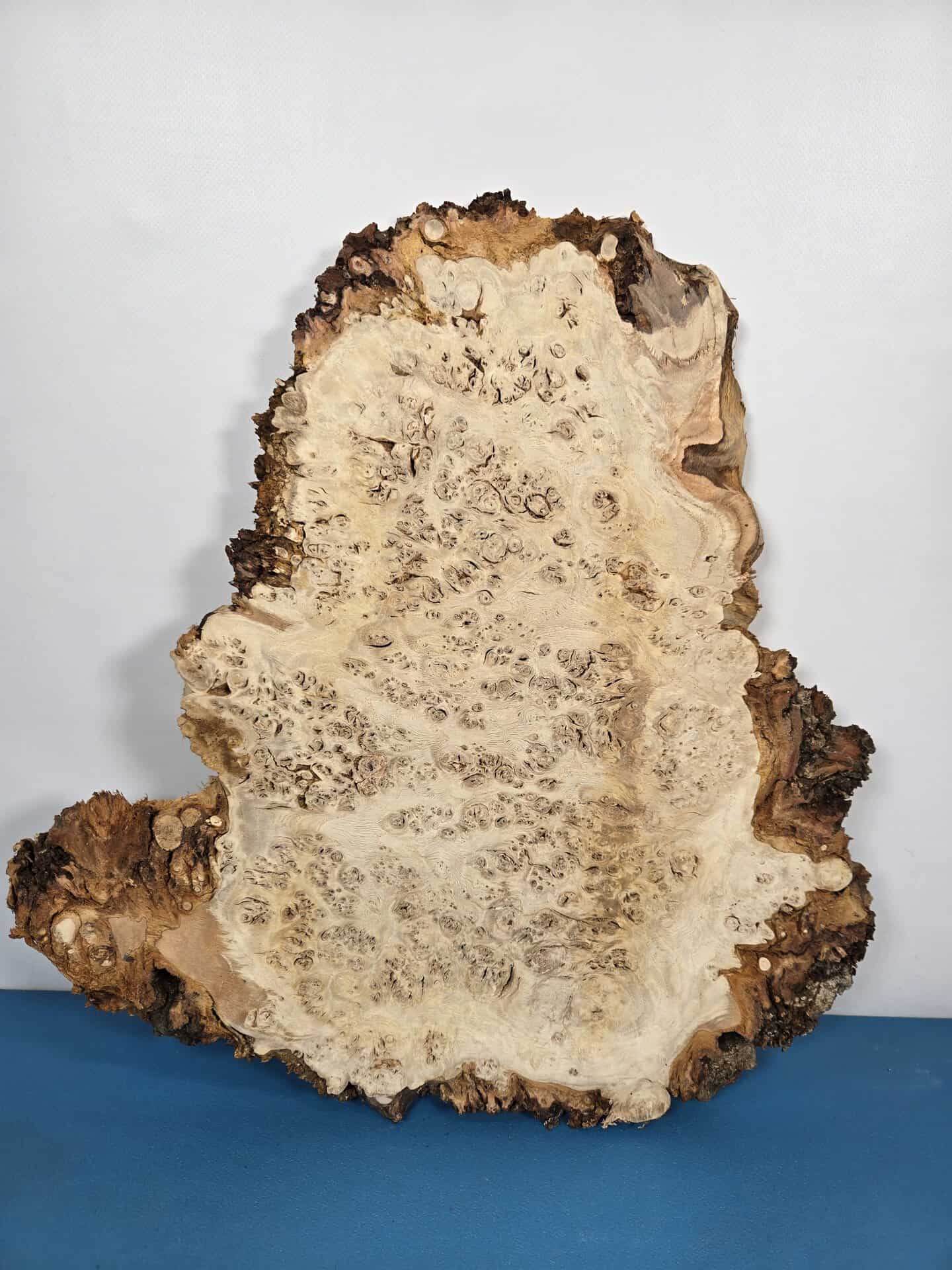 Edge-All-Round Oak Burr