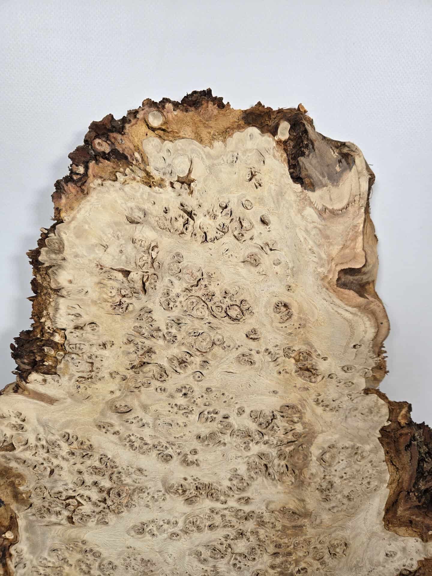 Edge-All-Round Oak Burr - Image 2