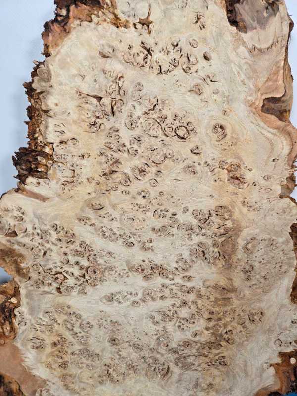 Edge-All-Round Oak Burr