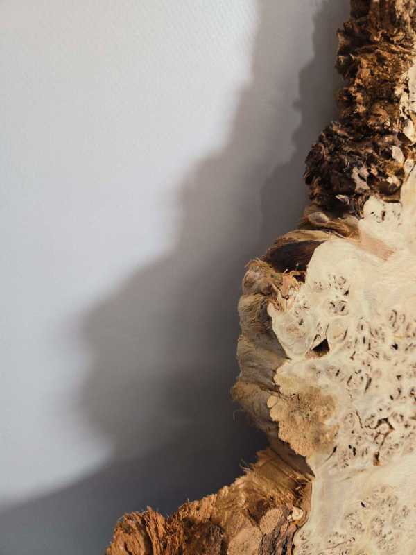 Edge-All-Round Oak Burr