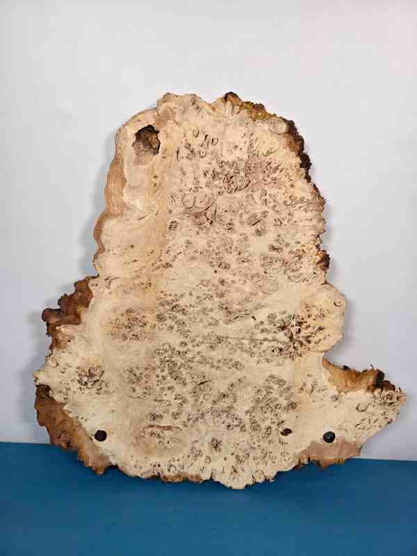 Edge-All-Round Oak Burr