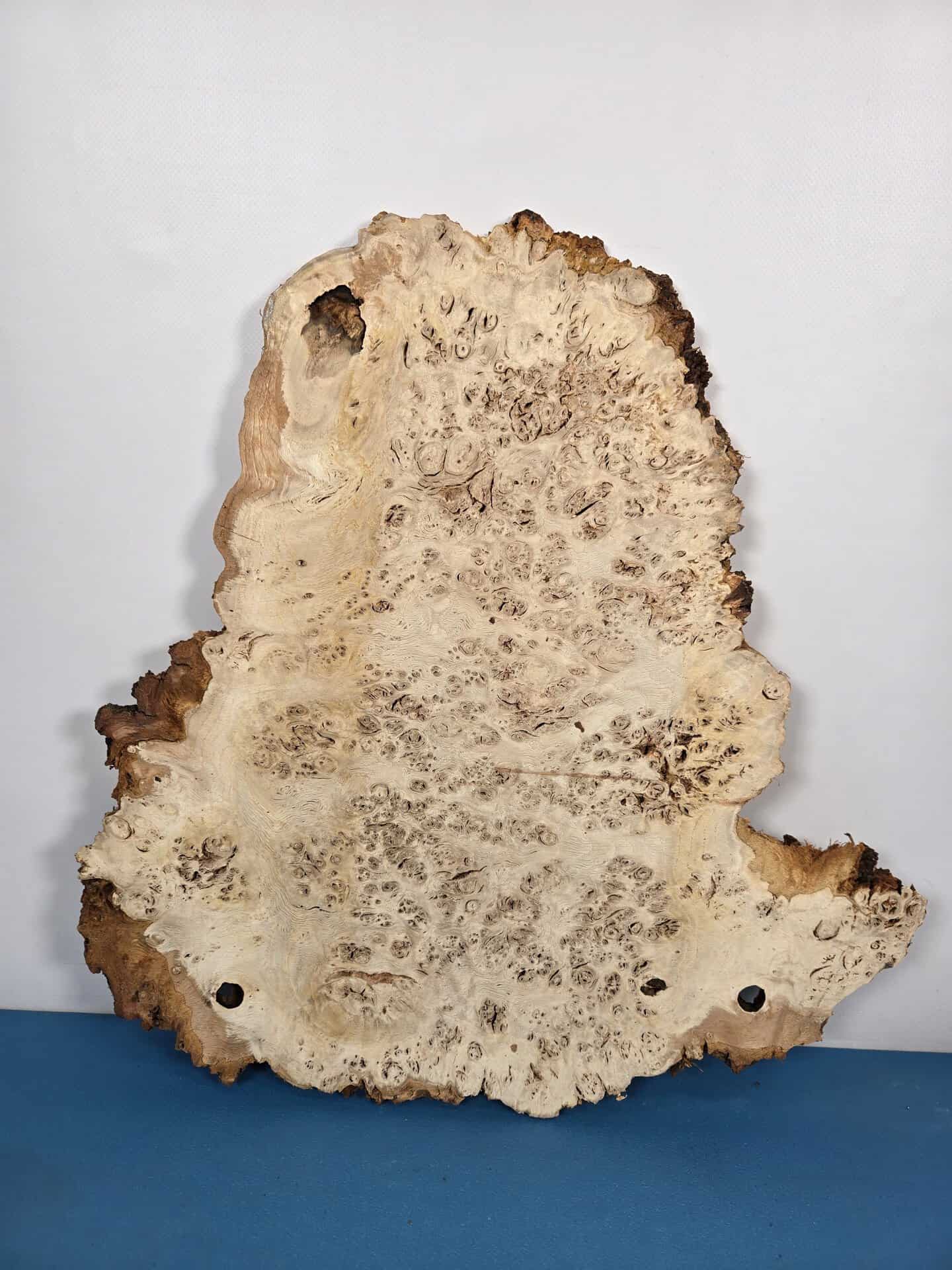 Edge-All-Round Oak Burr - Image 6