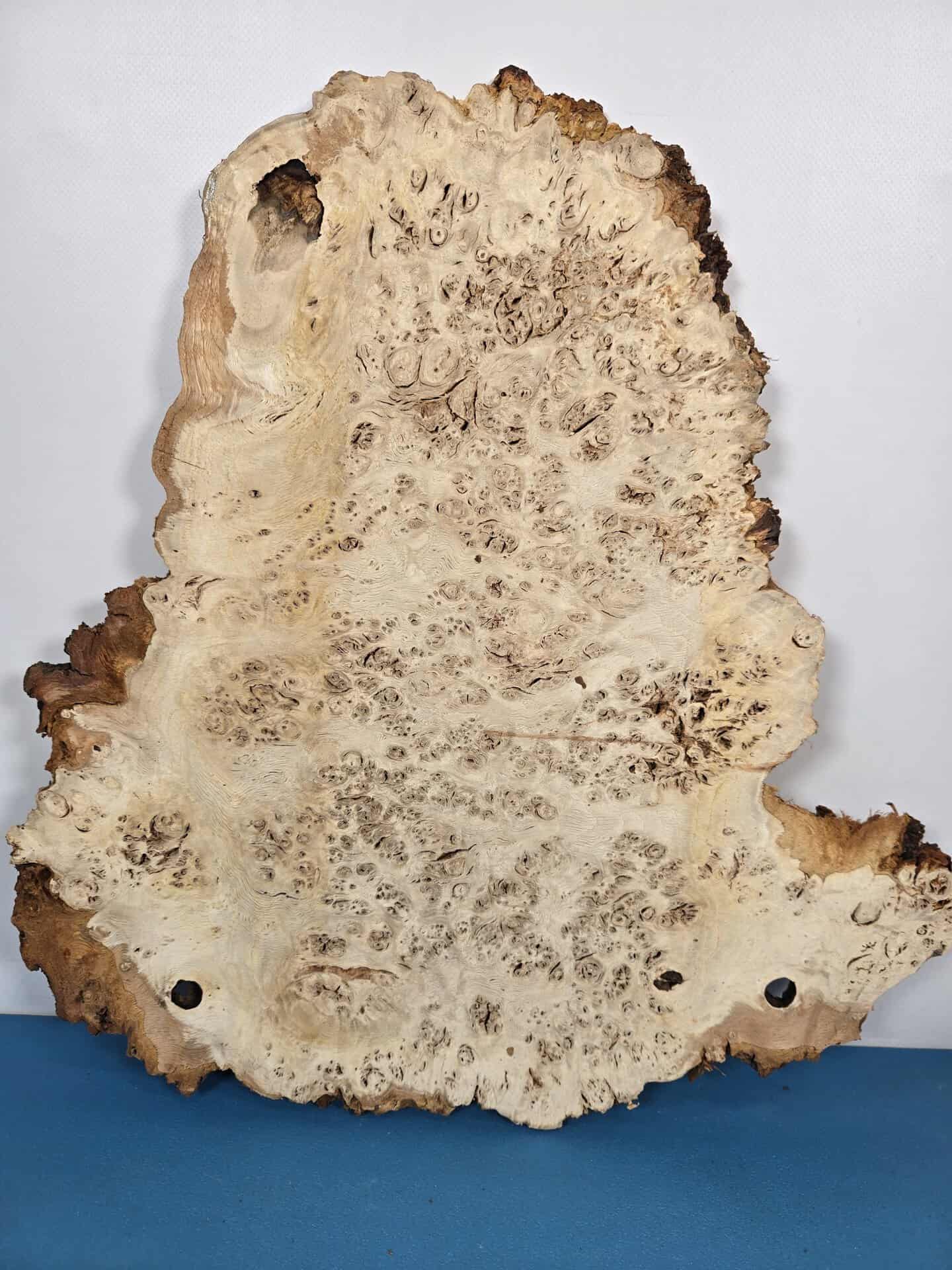 Edge-All-Round Oak Burr - Image 7