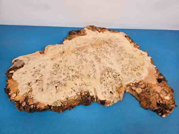 Edge-All-Round Oak Burr