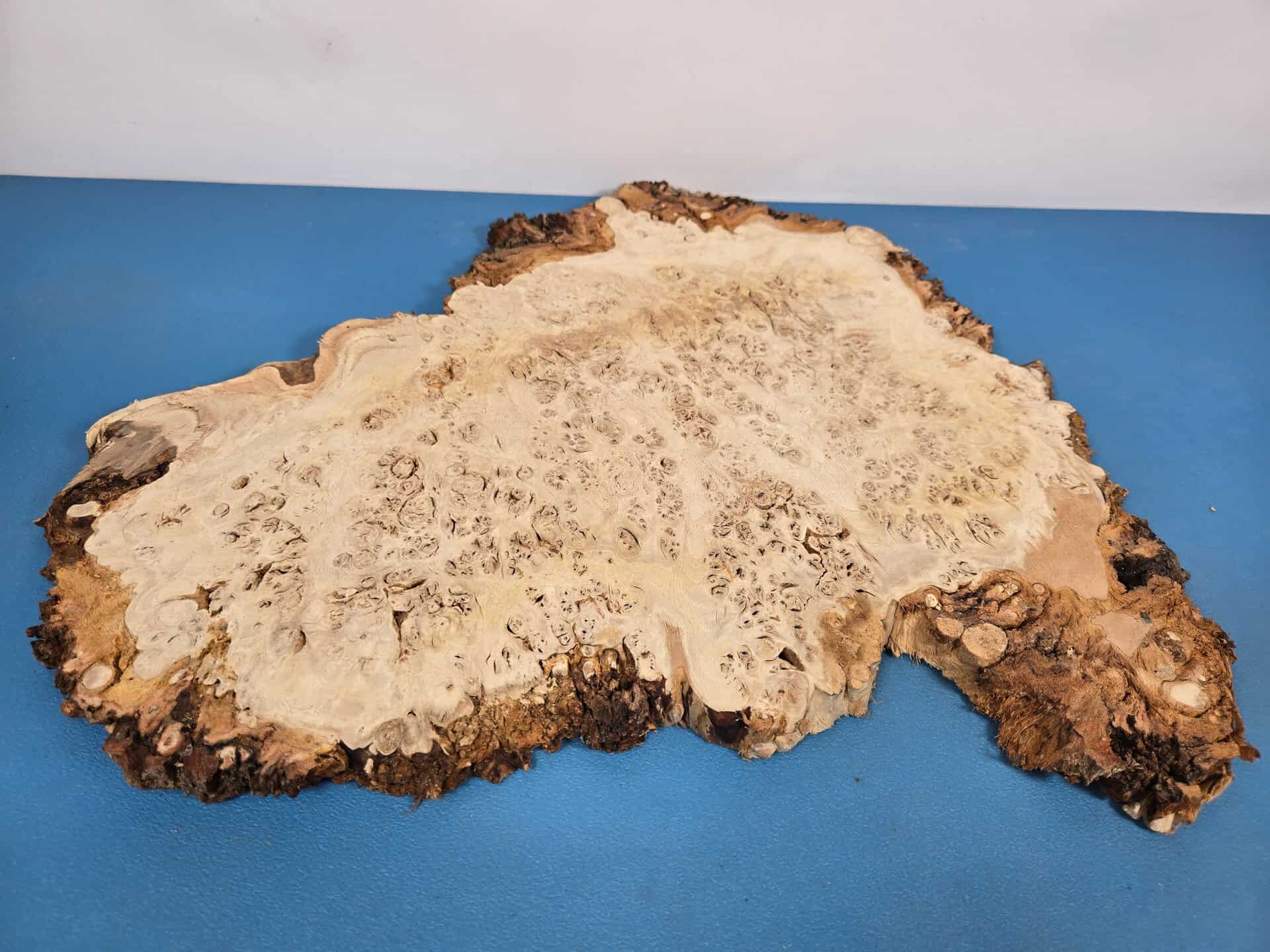 Edge-All-Round Oak Burr - Image 8