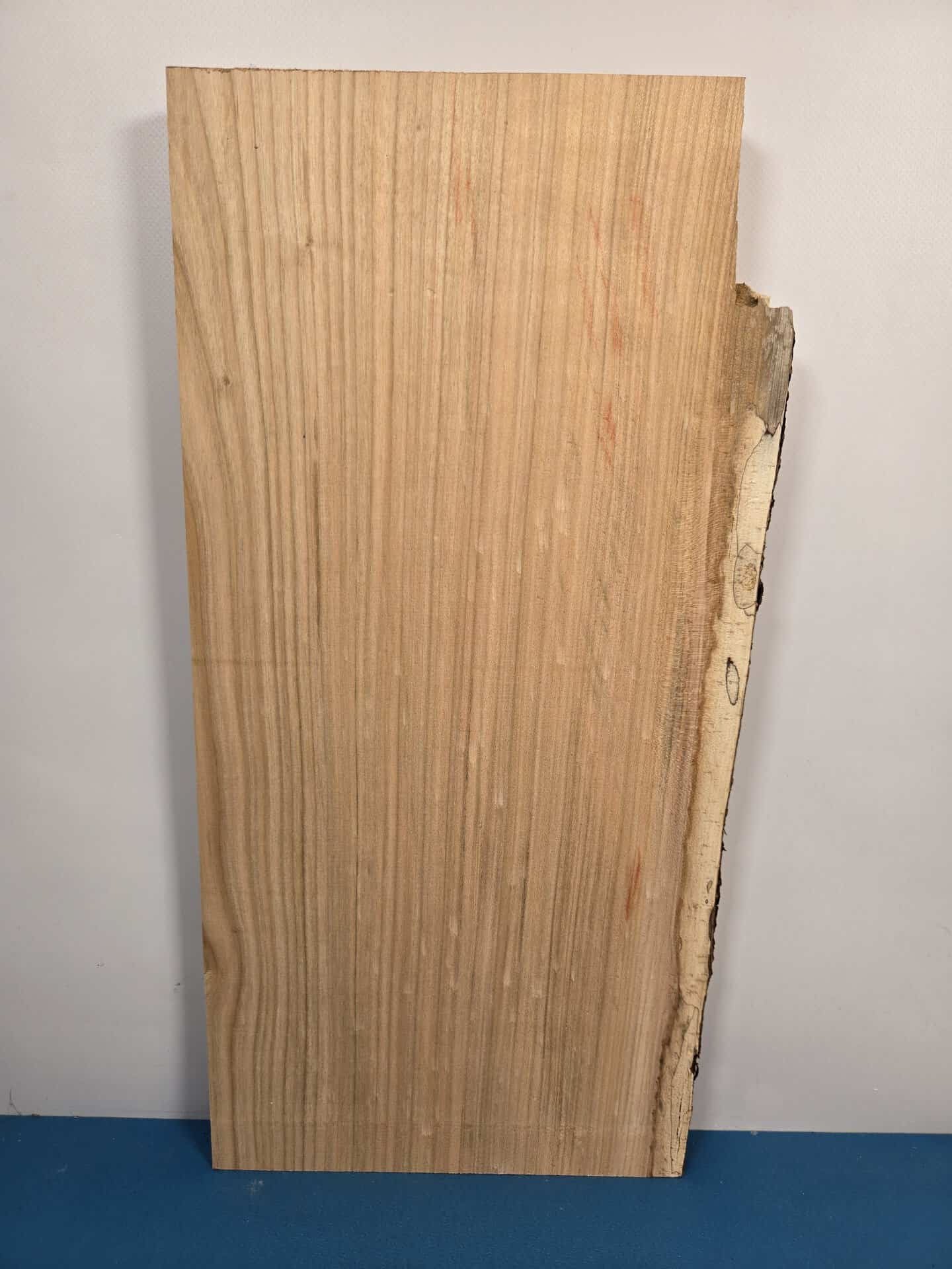 Sweet Chestnut Offcut