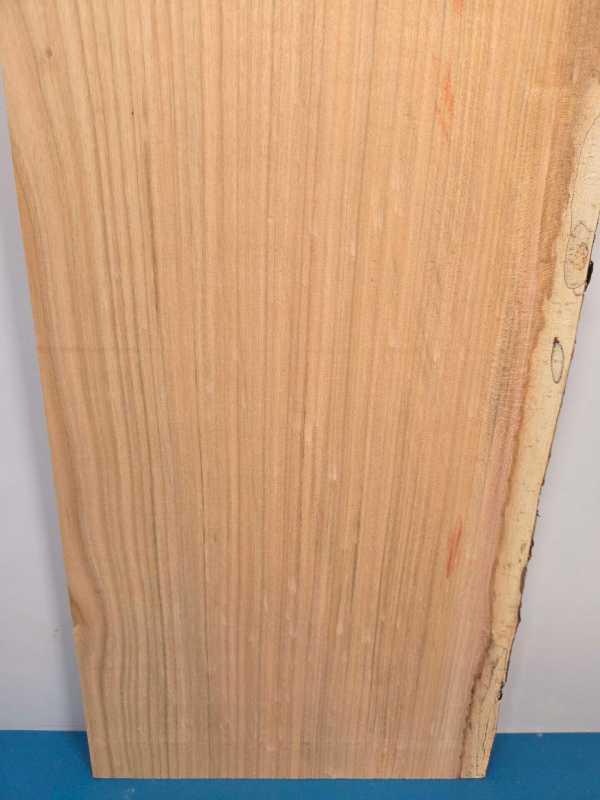 Sweet Chestnut Offcut
