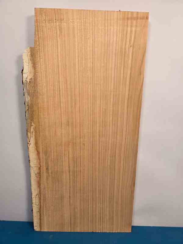 Sweet Chestnut Offcut