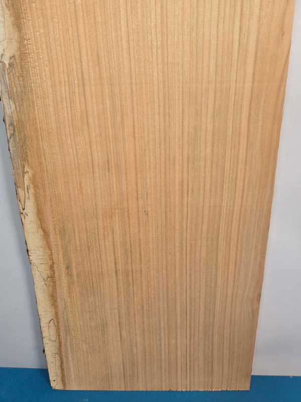 Sweet Chestnut Offcut