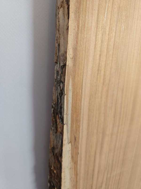 Clean Sweet Chestnut Offcut